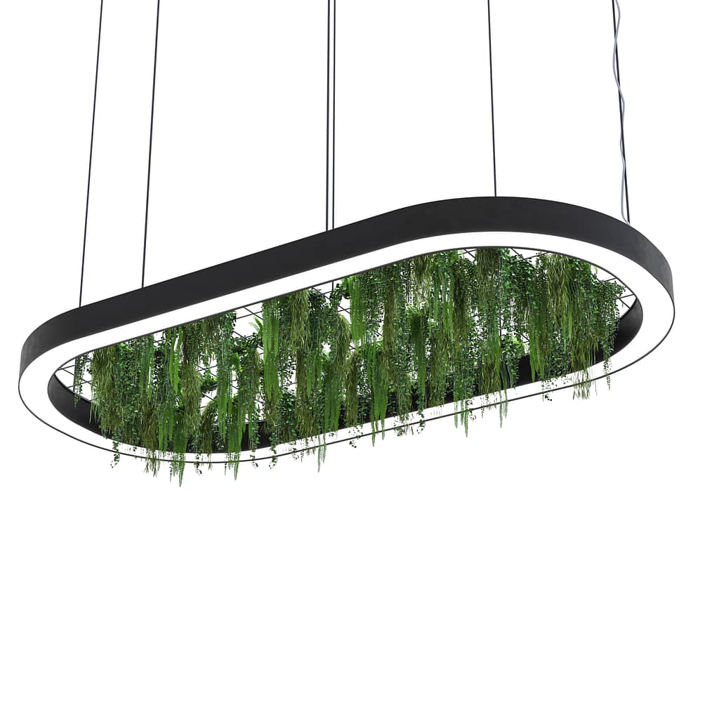 Biophilic Lighting - Office Biophilia - Synergy Creativ