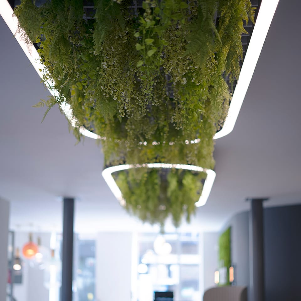 Biophilic lighting store
